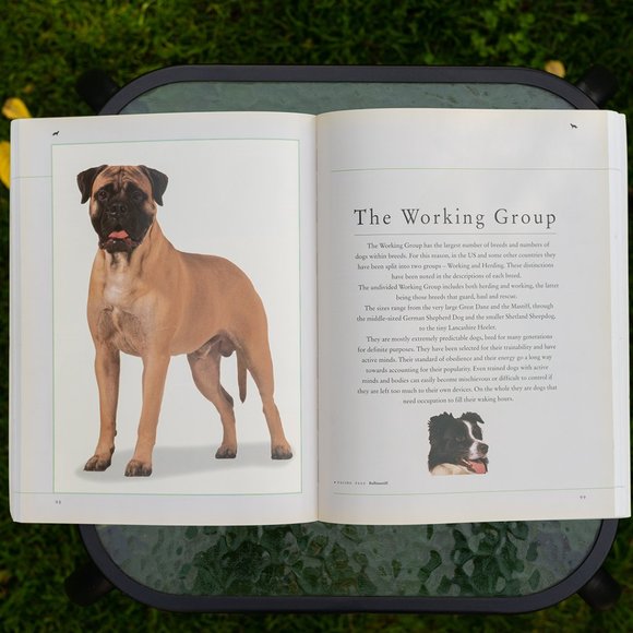 Book: Dog Breeds of the World - Picture 3 of 8